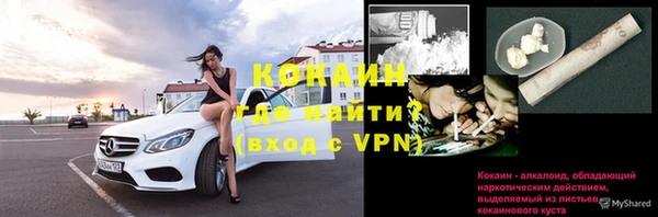 гашик Вязники