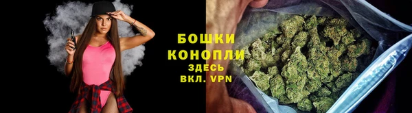 шишки Вяземский