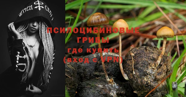 гашик Вязники