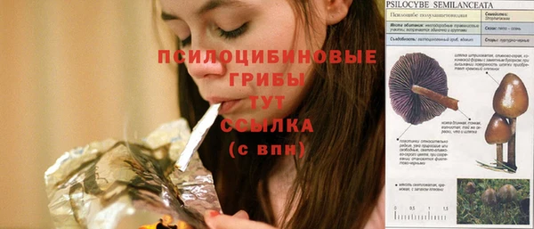 эйфоретик Волосово